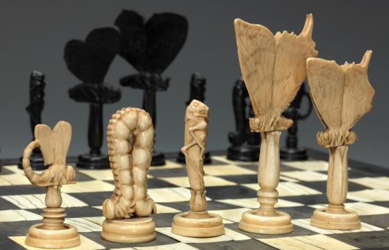 Insects Chess Set and Board