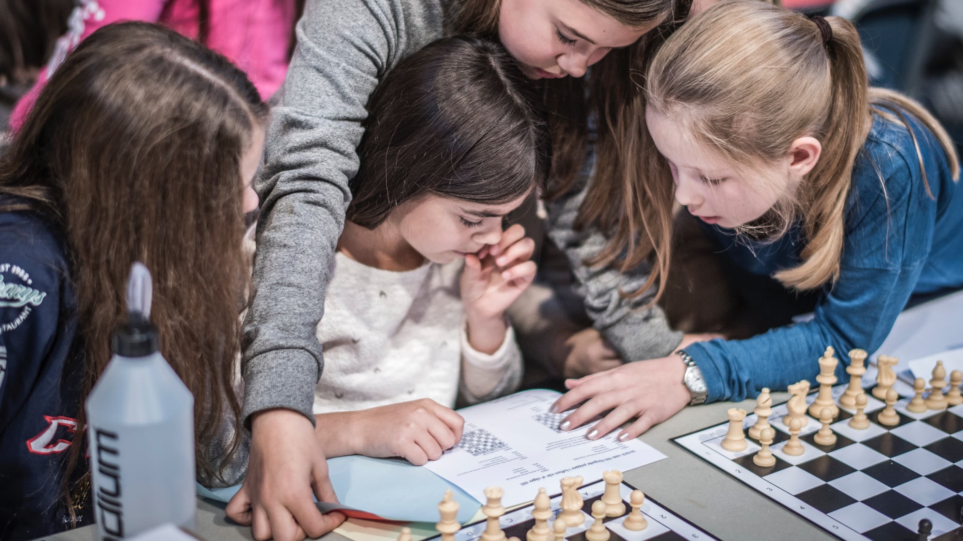 Survey on Chess in Schools
